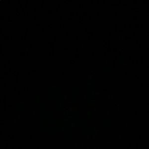 Meet your Posher, Roy